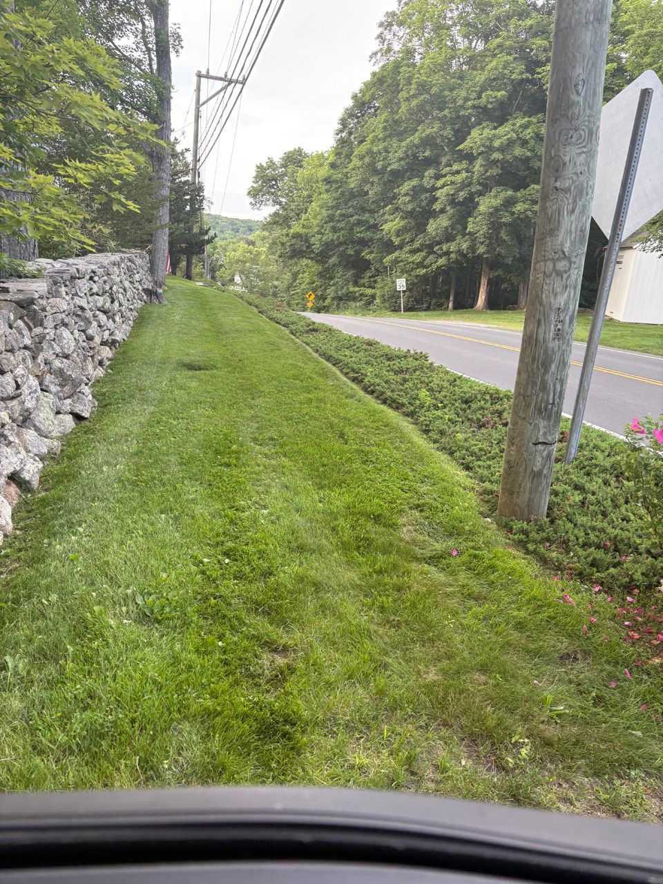 Grassy roadside embankment beside a stone wall and road, viewed from a car window