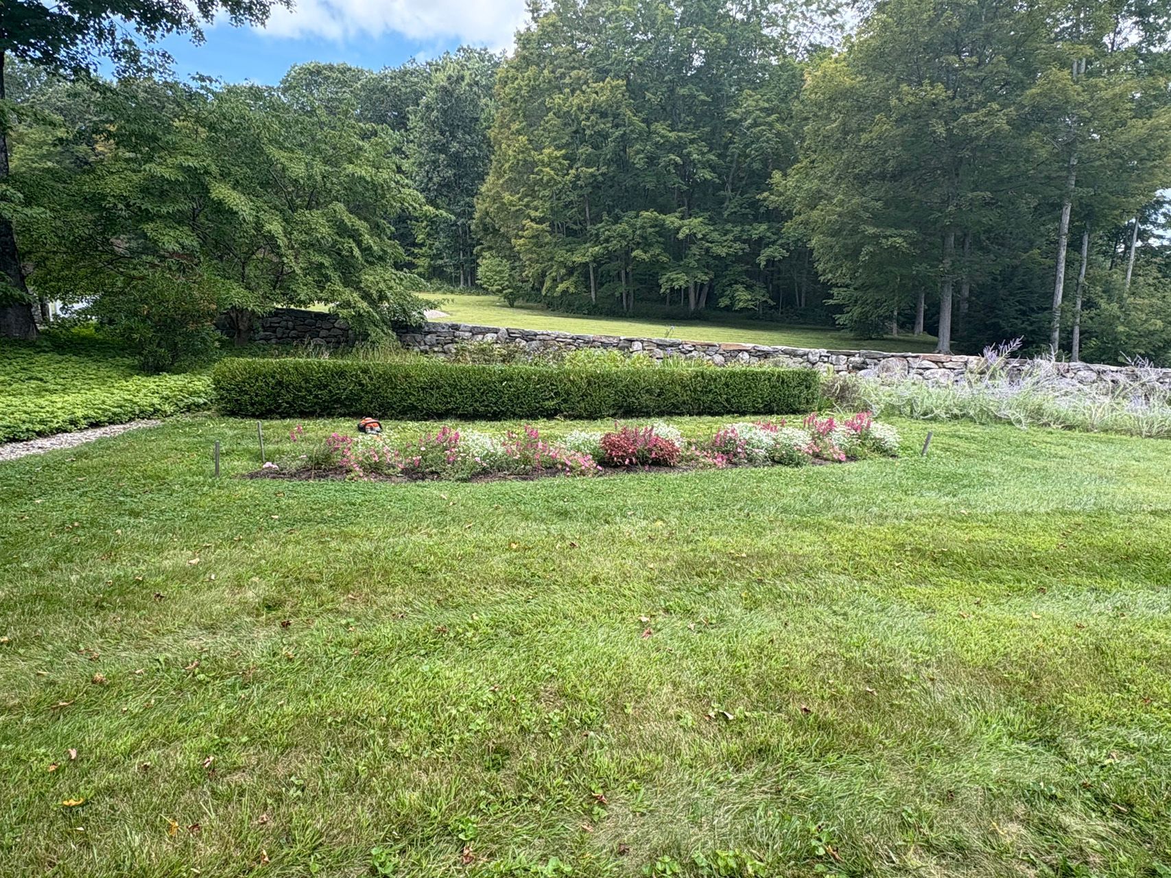 Landscaped garden with green lawn, flower beds, hedges, and trees under a clear sky