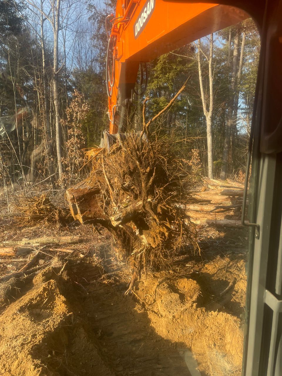 Orange excavator bucket lifting soil and roots in a wooded clearing