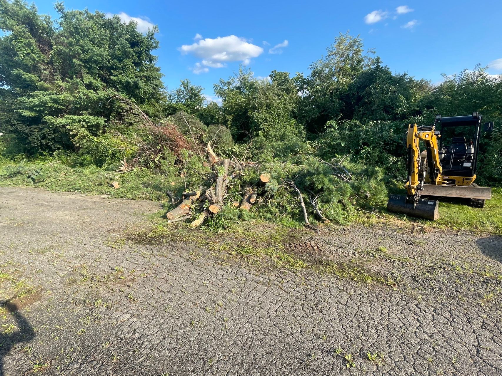 Yellow excavator clearing a pile of branches on a gravel lot with trees and blue sky behind it