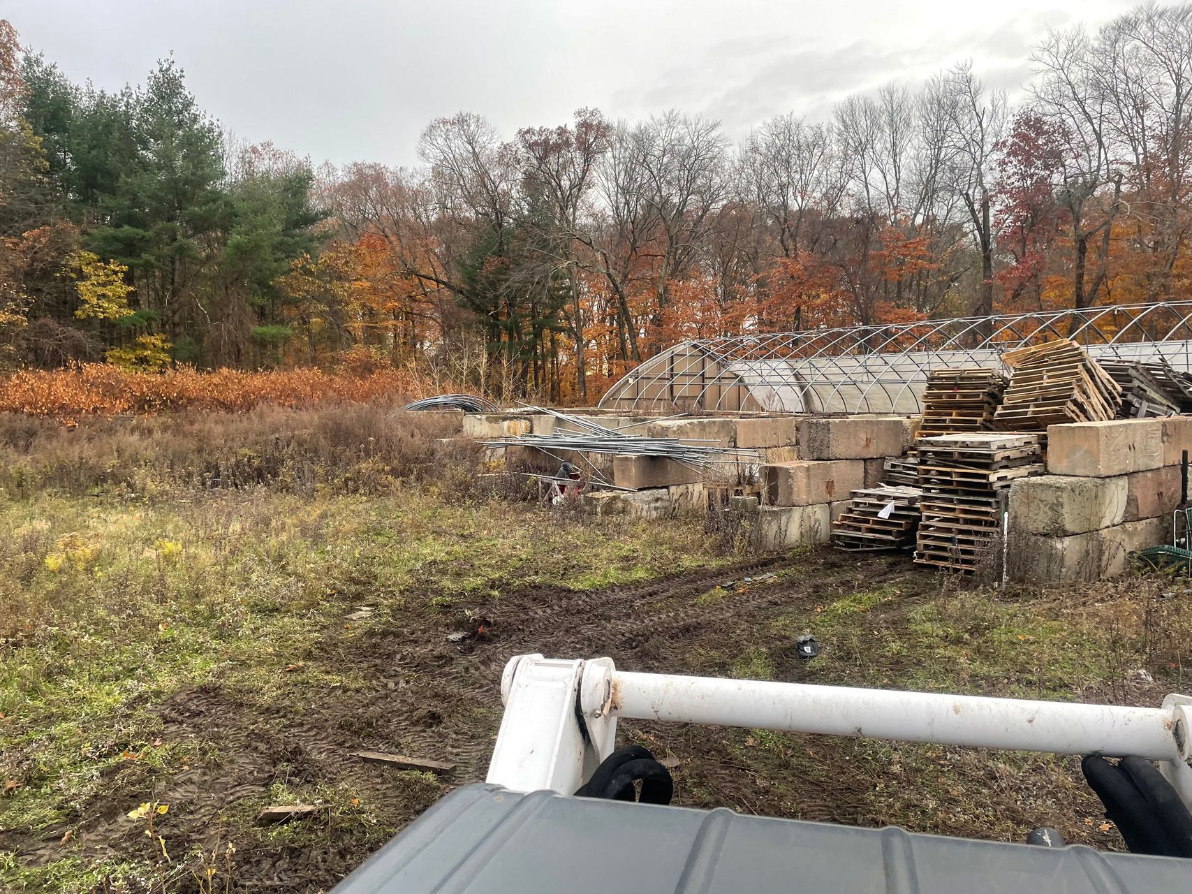 Overgrown field with stacked concrete blocks and bare autumn trees under a gray sky