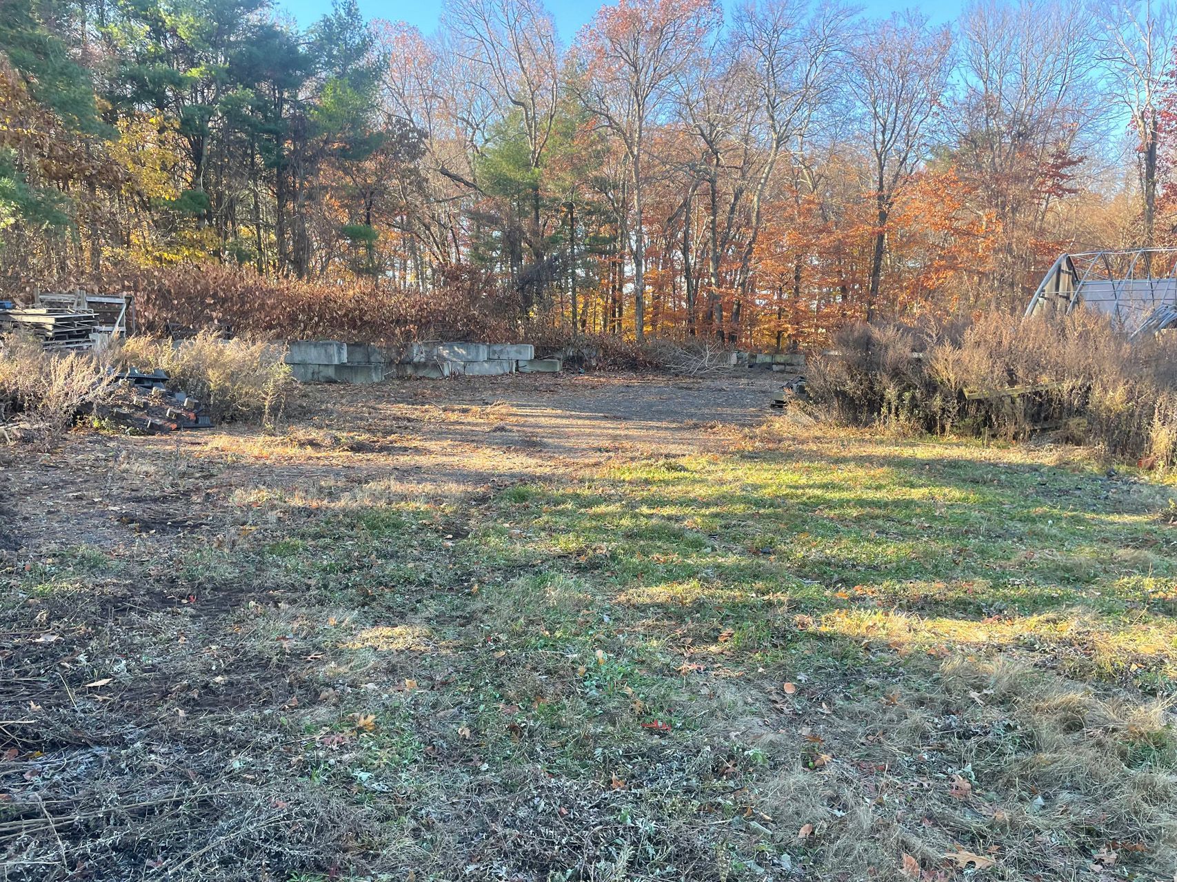 Wooded yard with fallen leaves, bare trees, and a patchy grassy clearing in autumn sunlight
