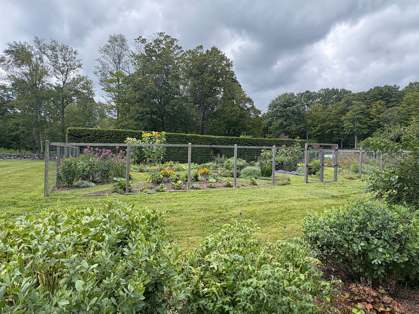 Community garden plots with lush green plants and flowers under a cloudy sky