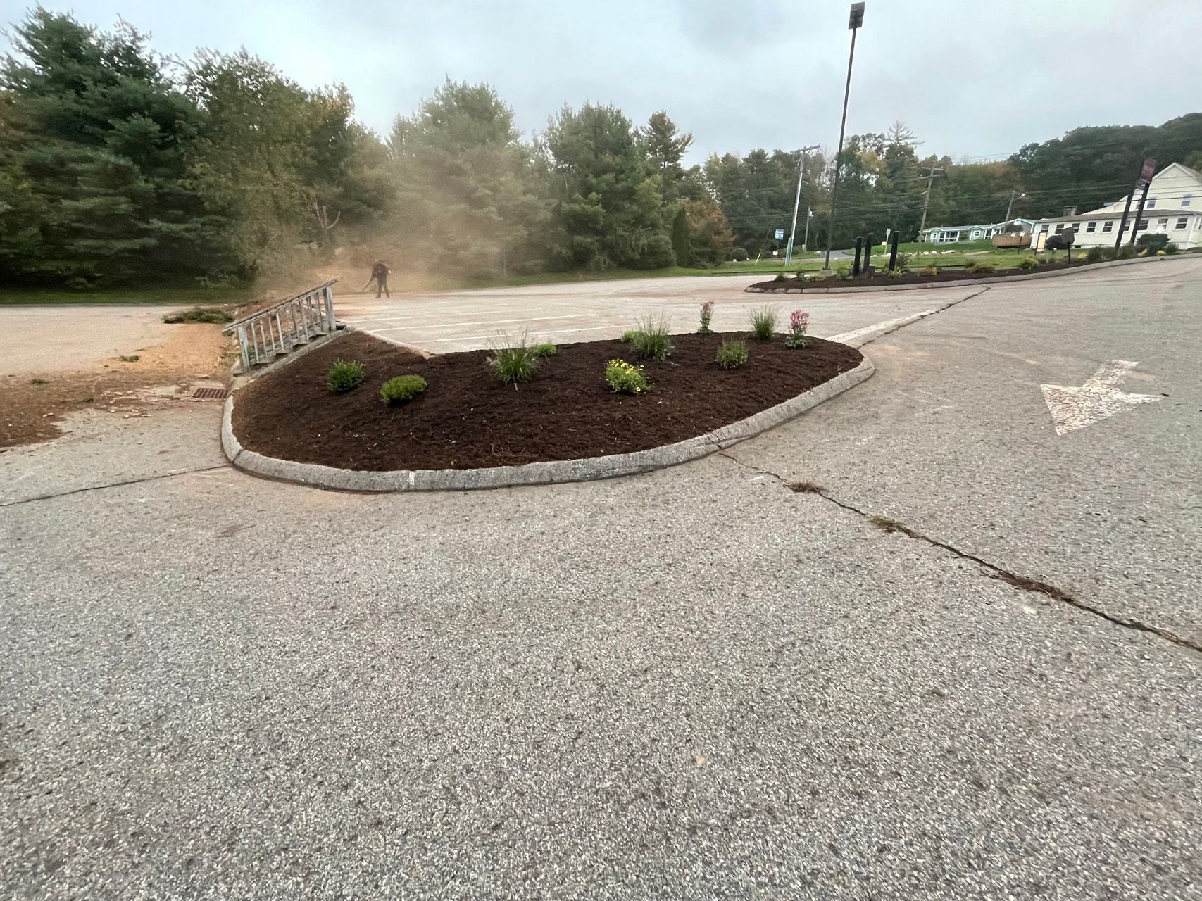 Landscaped traffic island with new shrubs in a parking lot, surrounded by cracked pavement.