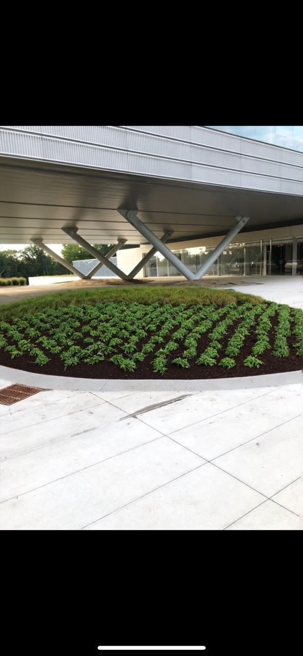 Modern building entrance with geometric canopy and circular flower bed of purple and green plants