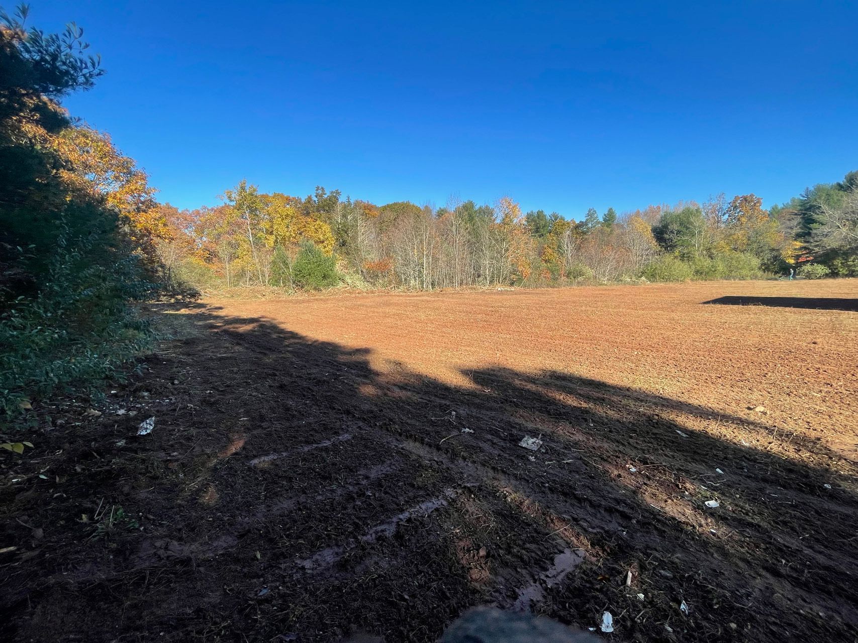 Sunlit plowed field bordered by autumn trees under a clear blue sky