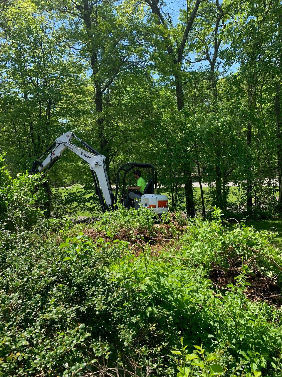 White excavator in dense green woods clearing brush under tall trees.