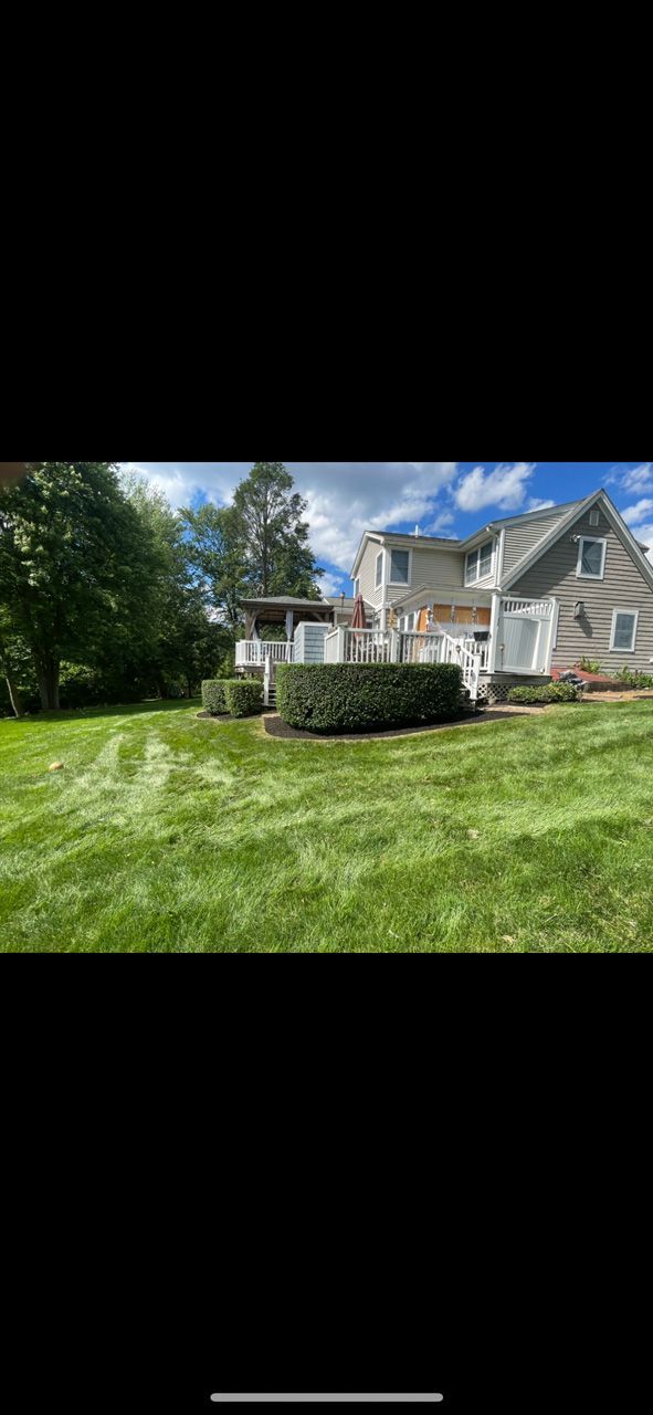 Suburban house with white siding and a screened porch behind a green lawn and trees