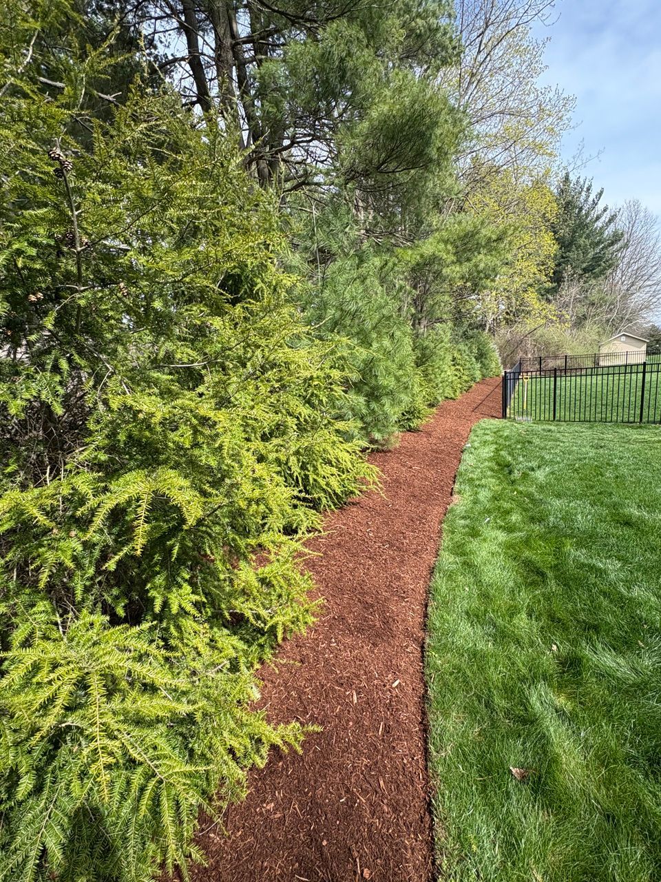Wooded garden path of reddish mulch curving beside green grass and trees