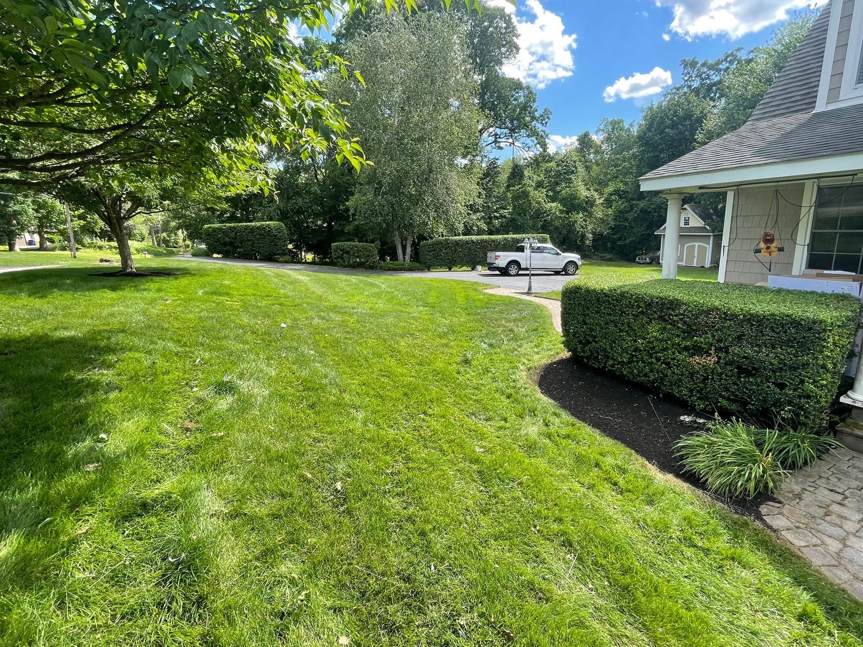 Sunny suburban yard with green lawn, trees, white car, and a house with a trimmed hedge
