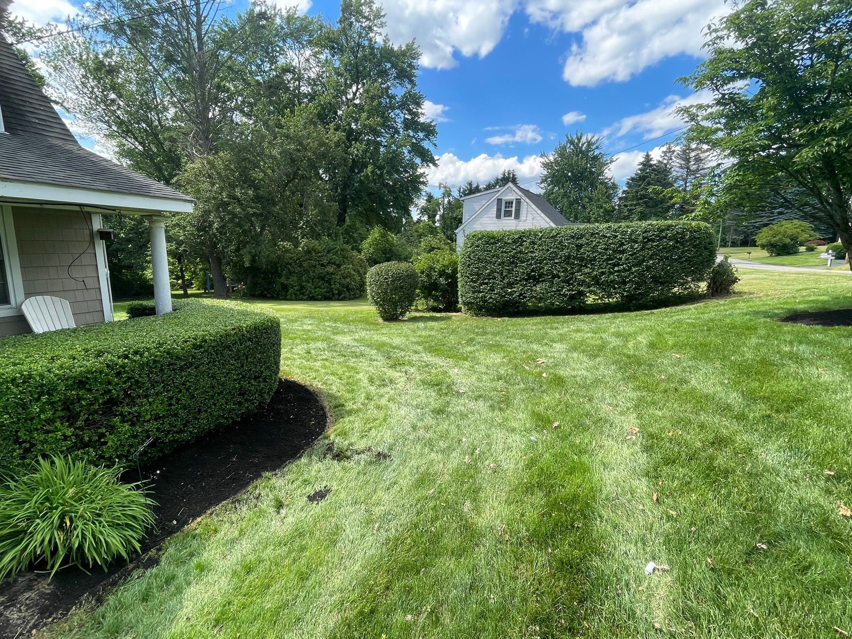 Sunny lawn and trimmed hedges beside a white house under a blue sky with clouds