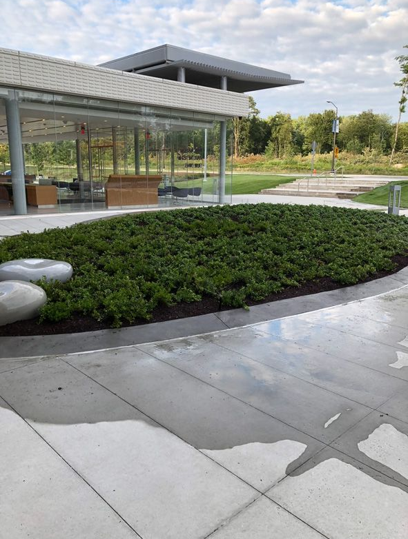 Modern building with glass walls, landscaped greenery, and a paved walkway under a cloudy sky