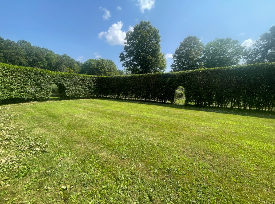 A paved parking area with a landscaped island featuring trees and shrubs. Overcast sky.
