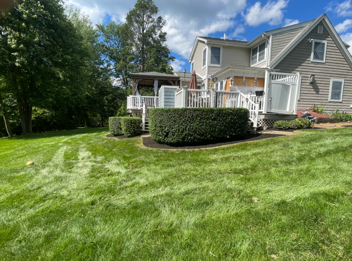 Lush green lawn with a two-story house, deck, and manicured shrubs on a sunny day.