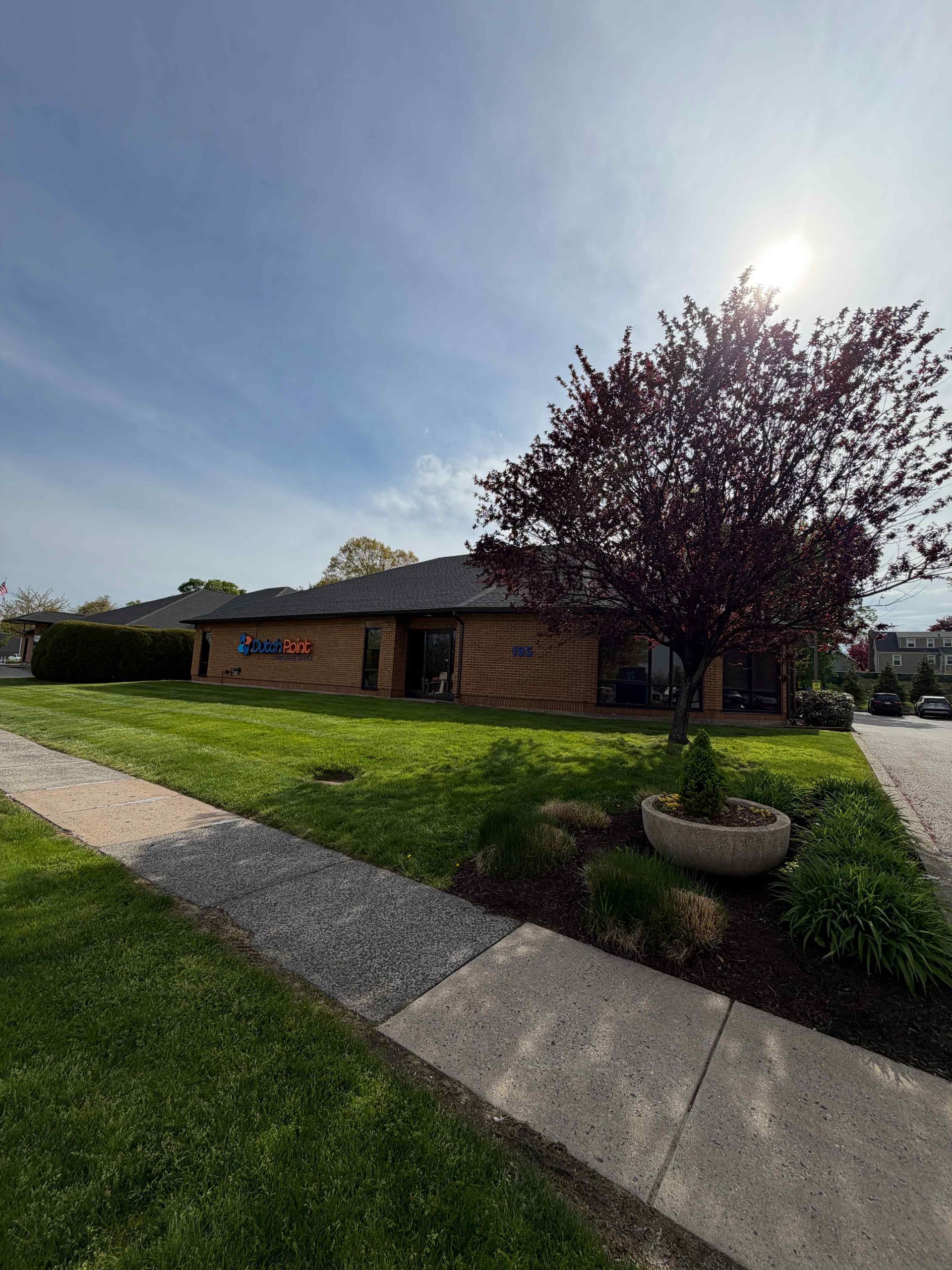 Suburban brick house with a sloped sidewalk, green lawn, and a blooming tree in bright sunlight