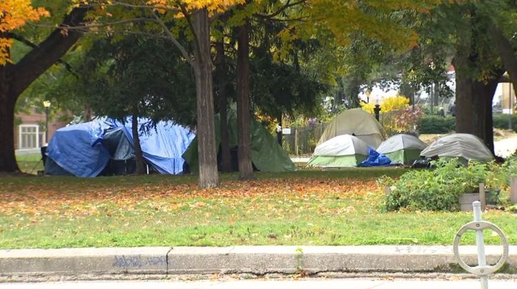 A group of tents are set up in a park.