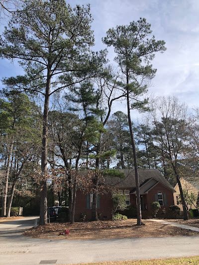 A house with a lot of trees in front of it.