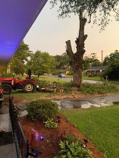 A tractor is cutting down a tree in a yard.