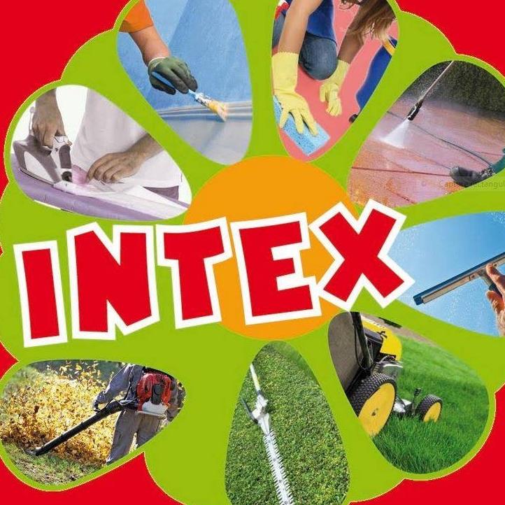 LOGO INTEXTE SERVICES