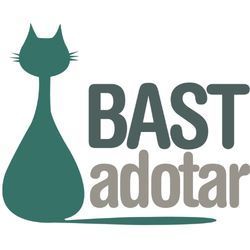 Um logotipo para um abrigo para gatos com um gato e as palavras bast adotar.