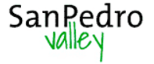 Vale de san pedro está escrito em preto e verde sobre fundo branco