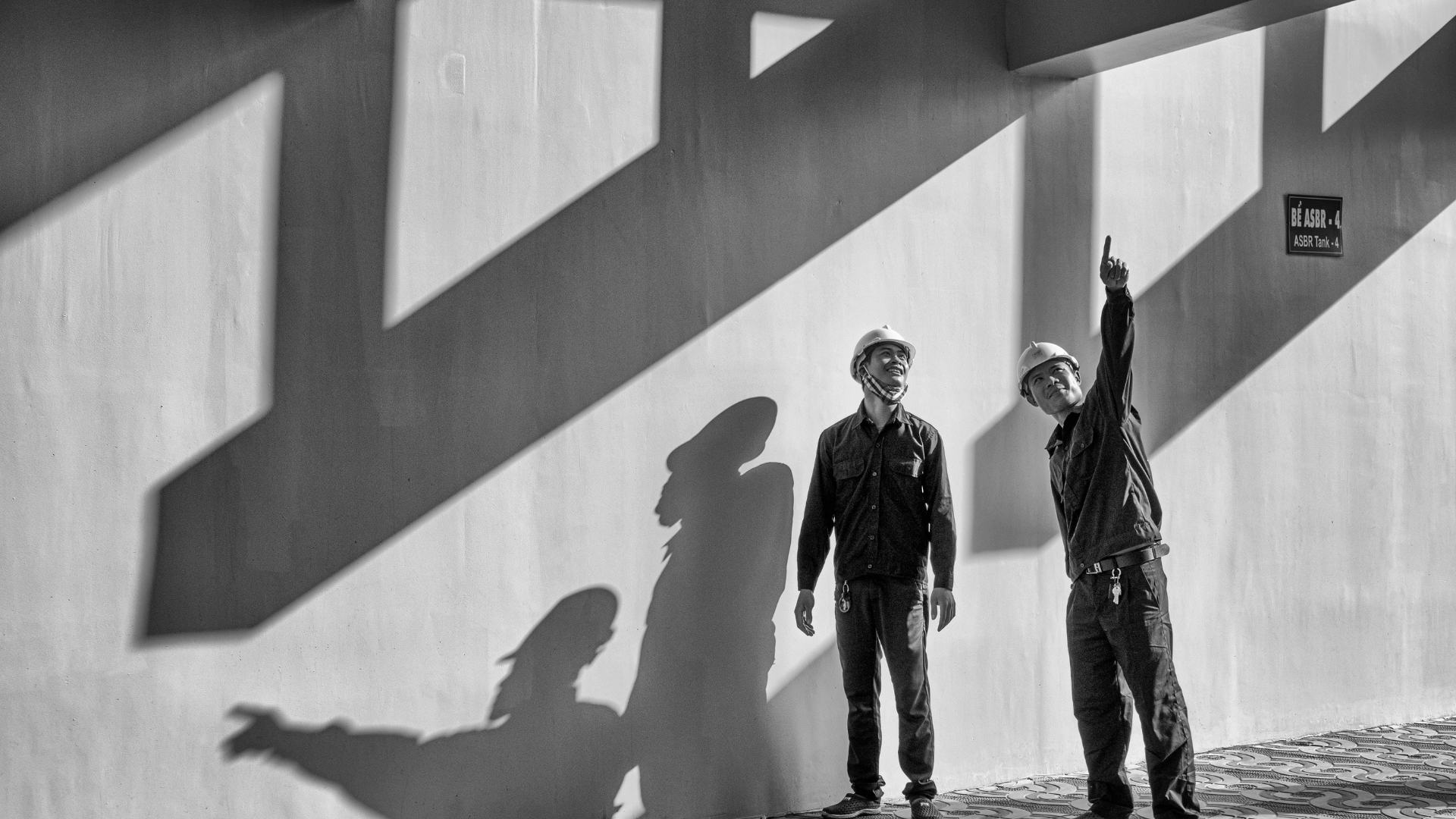 construction bidding software

