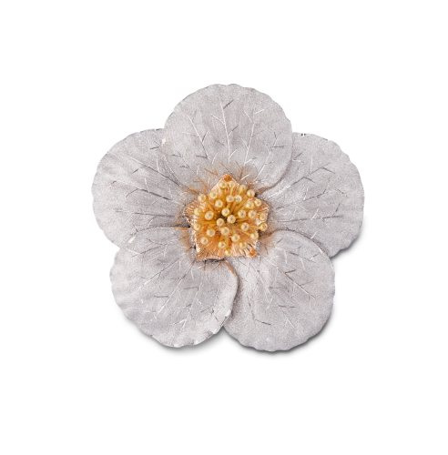 Un fiore bianco con un centro giallo su uno sfondo bianco