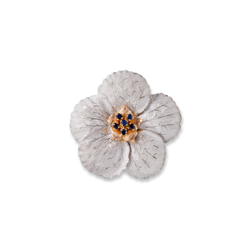 Un fiore bianco con centro dorato e petali di zaffiro su sfondo bianco.