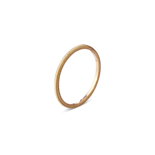 Un anello d'oro è mostrato su uno sfondo bianco