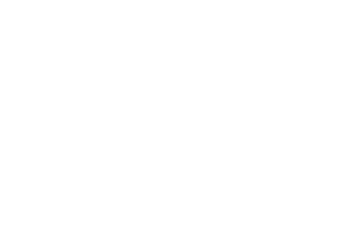 Burke Sales and Engineering Logo
