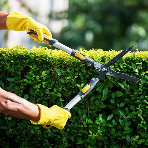 Hands Trimming Hedge in Garden — Braddock, PA — INC Restoration Services LLC