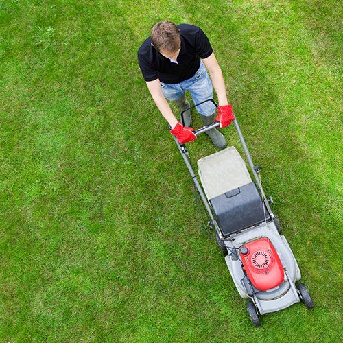 Man Mowing a Green Lawn — Braddock, PA — INC Restoration Services LLC