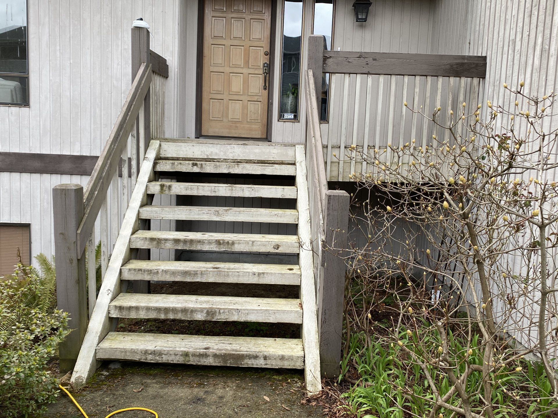 Concrete steps leading up to a light-colored wooden front door. Handrails on either side, with some shrubbery nearby.