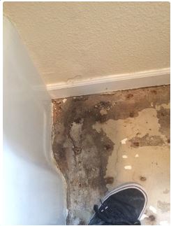 Water damage to a wall and floor in a corner, with a shoe visible.