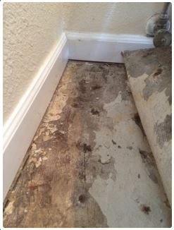 Damaged flooring with peeling layers, near white baseboards and rolled-up carpet.