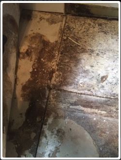 Brown and tan stained floor with mold in a bathroom corner.