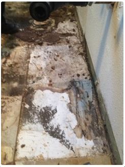 Damaged bathroom floor with peeling tiles, water damage, and dark mold near a pipe and wall.