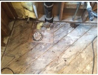 Bare wood bathroom floor with exposed plumbing.