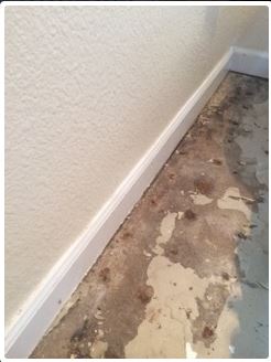 White wall with white baseboard next to damaged concrete floor.