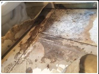 Damaged wooden corner with peeling paint and mold.