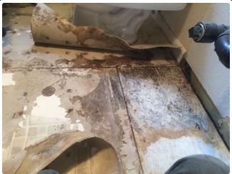 Moldy bathroom floor with peeling linoleum. Brown and white discoloration. Near a toilet and plumbing.