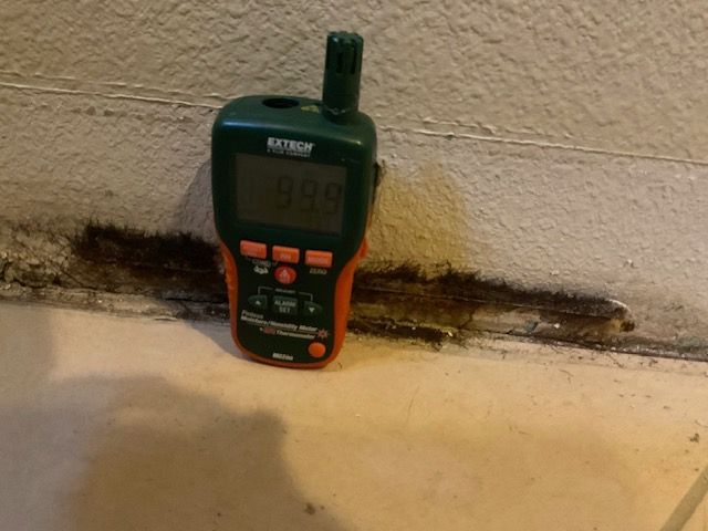 A moisture meter showing 1.88 on a wall with black mold at the base.