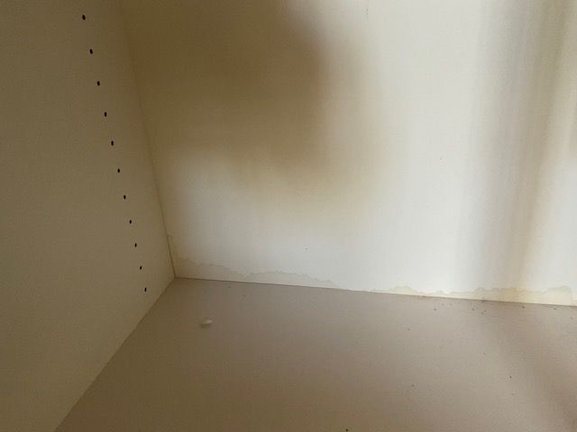Interior of a beige cabinet with a shelf. There's a discoloration on the back wall.