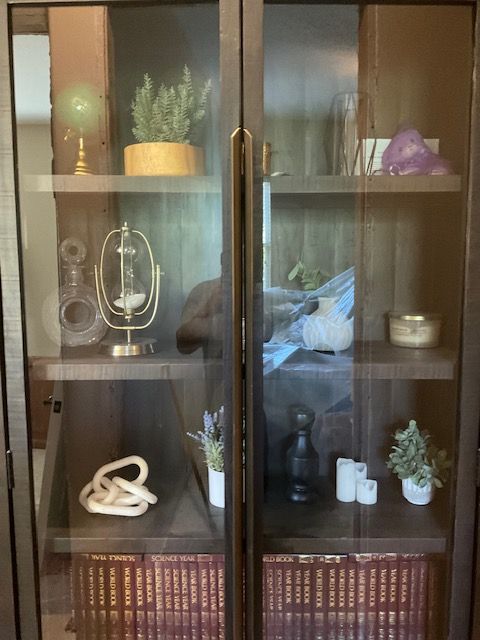 Dark wooden bookcase with glass doors, displaying various decorative items: plants, books, candles, and sculptures.