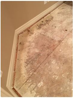 Moldy flooring beneath a cream-colored crown molding and wall. The floor has a rough, stained appearance.