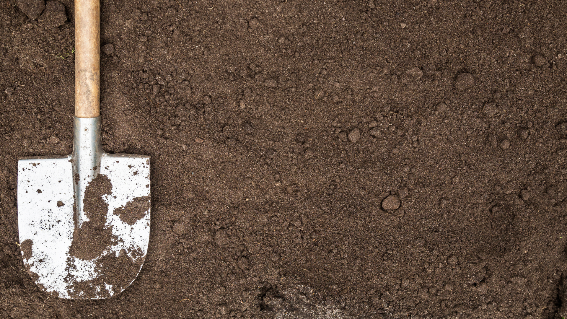 Shovel resting in dark brown soil, ready for digging.