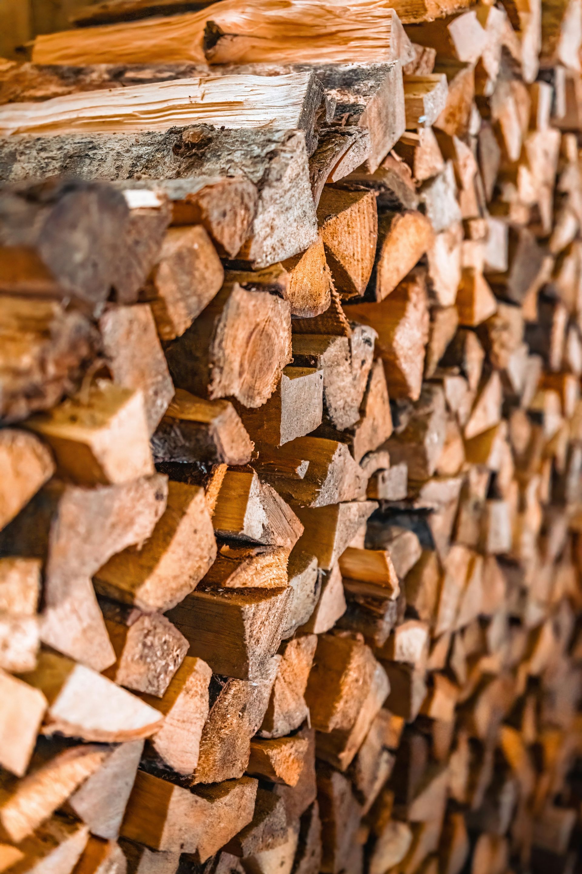 Wood processor machine