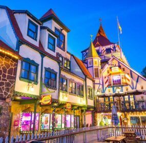 Check out the brand new dahloga discovery guide digital edition available now