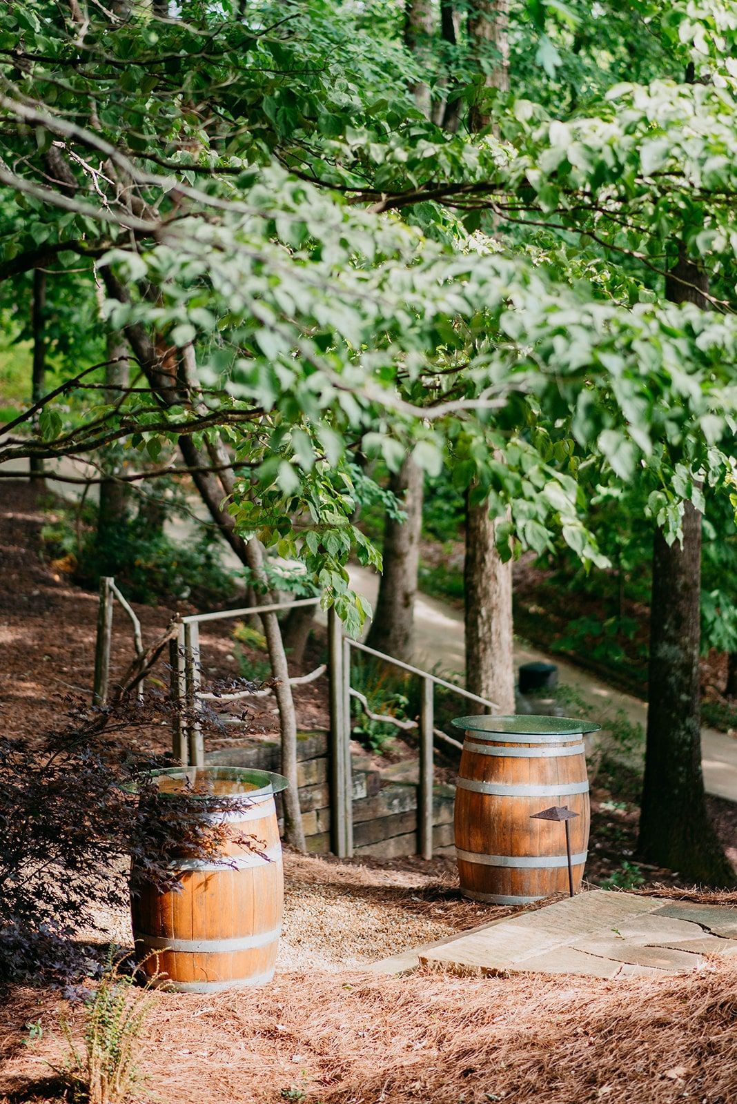 Two wooden barrels are sitting next to each other in the woods.