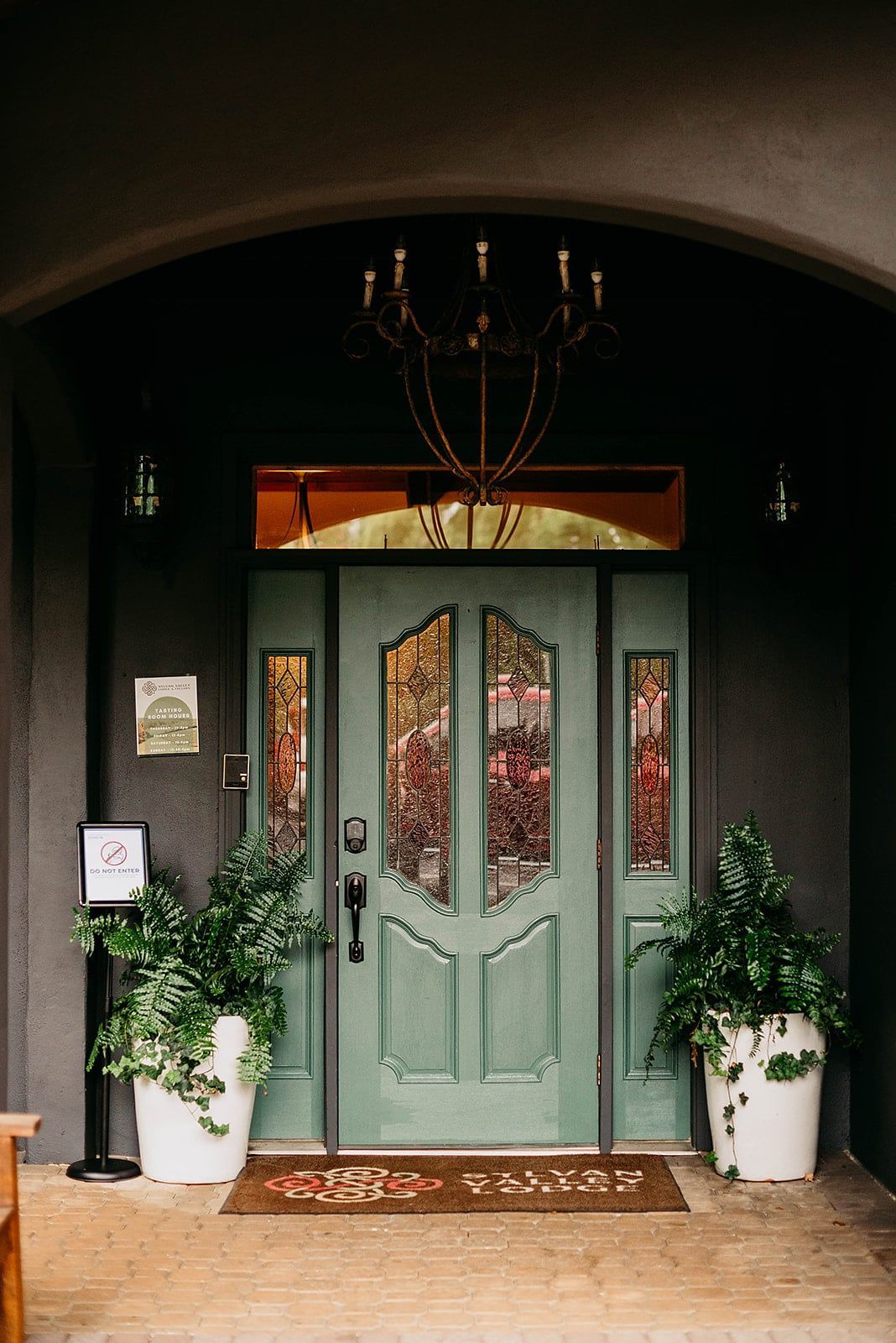 A green door with a chandelier above it is surrounded by potted plants.